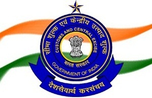 India Customs Logo g International India Pvt Ltd